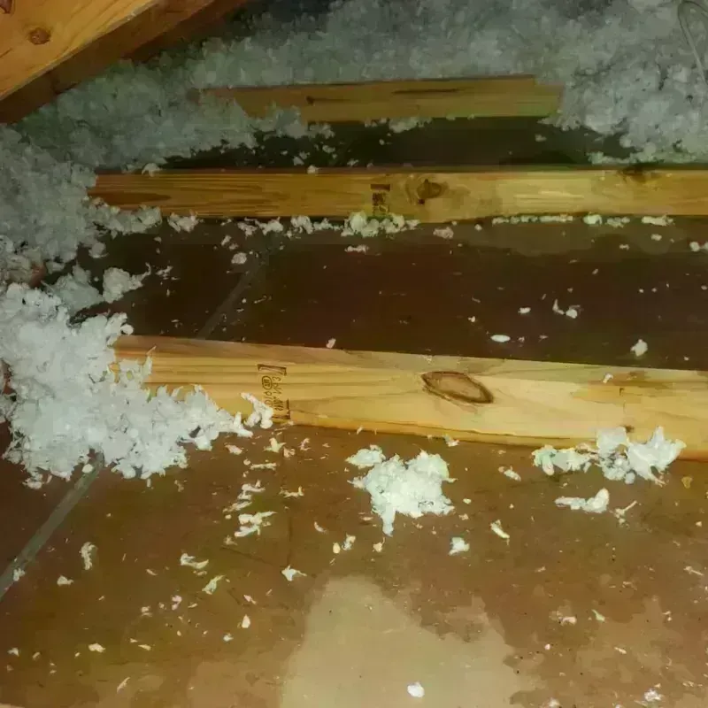 Attic Water Damage in Canoga Park, CA