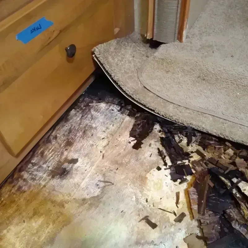 Wood Floor Water Damage in Canoga Park, CA